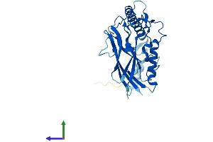 AlphaFold protein structure predicition of Mouse Recombinant Atp1b3 Protein, UniprotID P97370 (ATP1B3 Protein (AA 1-278) (His tag))