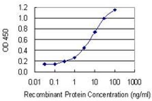 Detection limit for recombinant GST tagged RAB33A is 0. (RAB33A antibody  (AA 1-237))