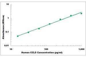 Representative Standard Curve (CCL5 ELISA Kit)