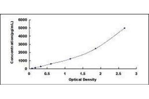 Chemokine (C-X-C Motif) Receptor 4 (CXCR4) ELISA Kit