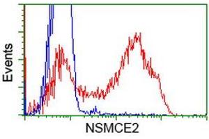 HEK293T cells transfected with either RC207639 overexpress plasmid (Red) or empty vector control plasmid (Blue) were immunostained by anti-NSMCE2 antibody (ABIN2453383), and then analyzed by flow cytometry. (NSMCE2 antibody)