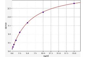 LRP8 ELISA Kit