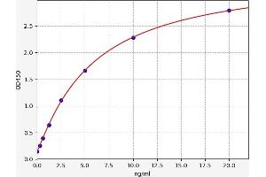 Typical standard curve (LRP8 ELISA Kit)