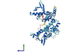 Protein Structure (PS) image for General Transcription Factor IIH, Polypeptide 4, 52kDa (GTF2H4) (AA 1-462) protein (His tag) (ABIN7544212)