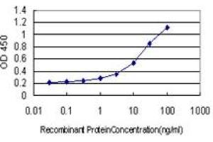 Detection limit for recombinant GST tagged SLC45A2 is approximately 0. (SLC45A2 antibody  (AA 1-243))