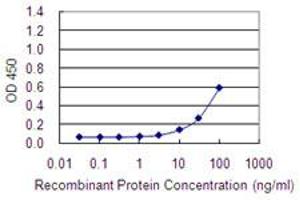 Detection limit for recombinant GST tagged BAMBI is 3 ng/ml as a capture antibody. (BAMBI antibody  (AA 1-260))