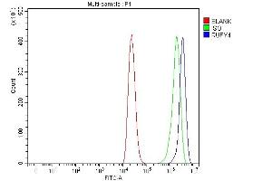 Flow Cytometry analysis of THP-1 cells using anti-RUFY4 antibody (ABIN7599475). (RUFY4 antibody  (AA 1-553))