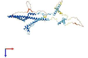 TADA3L Protein (AA 1-432) (His tag)