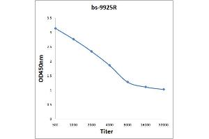 Antigen: 0. (CACNA1S antibody  (AA 951-1001))