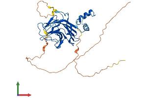 Protein Structure (PS) image for SplA/ryanodine Receptor Domain and SOCS Box Containing 3 (SPSB3) (AA 1-354) protein (His tag) (ABIN7557419)