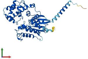 AlphaFold protein structure predicition of Human Recombinant GNA14 Protein, UniprotID O95837 (GNa14 Protein (AA 1-355) (His tag))