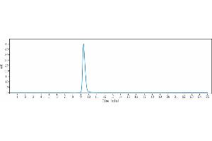 anti-CEACAM5 (Tusamitamab Biosimilar) antibody
