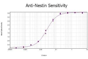 ELISA results of purified Rabbit anti-Nestin Antibody tested against BSA-conjugated peptide of immunizing peptide. (Nestin antibody  (AA 1484-1500))