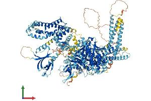 AlphaFold protein structure predicition of Mouse Recombinant Prex2 Protein, UniprotID Q3LAC4 (PREX2 Protein (AA 1-1598) (His tag))