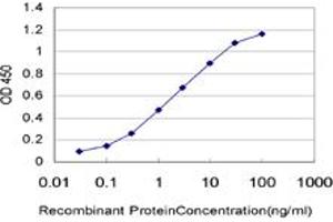 Detection limit for recombinant GST tagged PAPSS2 is approximately 0. (PAPSS2 antibody  (AA 513-612))