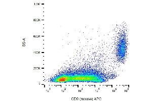 Flow cytometry analysis (surface staining) of CD9 in murine peritoneal fluid cells with anti-CD9 (EM-04) APC. (CD9 antibody  (APC))