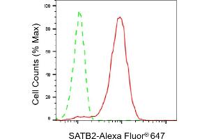 Flow cytometric analysis of SATB2 expression in HeLa cells using SATB2 antibody (ABIN7800274), 1:2,000).