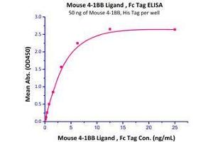 Immobilized Mouse 4-1BB, His Tag (Cat# 41B-M52H7) at 0. (CD137 Protein (AA 24-211) (His tag))