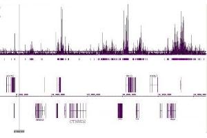 Histone H3 acetyl Lys18 antibody tested by ChIP-chip.