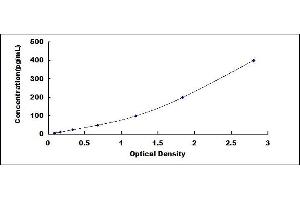 MMP10 ELISA Kit