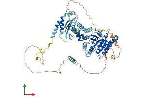 AlphaFold protein structure predicition of Human Recombinant SRPRA Protein, UniprotID P08240 (SRPRA (AA 1-638) protein (His tag))