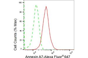Flow cytometric analysis of Annexin A7 expression in HepG2 cells using Annexin A7 antibody (ABIN7797626), 1:2,000). (Recombinant Annexin VII antibody)