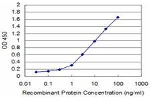 Detection limit for recombinant GST tagged TRIM49 is approximately 0. (TRIM49 antibody  (AA 251-340))