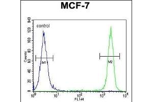 SEL1L Antibody (Center) (ABIN654642 and ABIN2844339) flow cytometric analysis of MCF-7 cells (right histogram) compared to a negative control cell (left histogram). (SEL1L antibody  (AA 156-182))