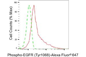 Flow cytometric analysis of Phospho-EGFR (Tyr) expression in HepG2 cells using Phospho-EGFR (Tyr) antibody (ABIN7798464), 1:2,000). (Recombinant EGFR antibody  (pTyr1068))