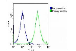 Overlay histogram showing HepG2 cells stained with (ABIN654423 and ABIN2844158)(green line). (IGF2BP1 antibody  (C-Term))