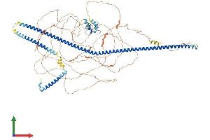 AlphaFold protein structure predicition of Mouse Recombinant Rab11fip3 Protein, UniprotID Q8CHD8 (RAB11FIP3 Protein (AA 1-1047) (His tag))