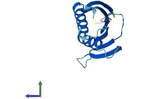 AlphaFold protein structure predicition of Human Recombinant PSMG4 Protein, UniprotID Q5JS54