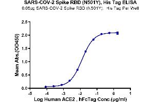 Immobilized SARS-COV-2 Spike RBD (N501Y), His Tag at 0. (SARS-CoV-2 Spike Protein (N501Y, RBD) (His tag))