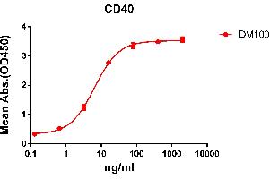 ELISA plate pre-coated by 2 μg/mL (100 μL/well) Human CD40 protein, mFc-His tagged protein ((ABIN6961088, ABIN7042205 and ABIN7042206)) can bind Rabbit anti-CD40 monoclonal antibody(clone: DM100) in a linear range of 0. (CD40 antibody  (AA 21-193))