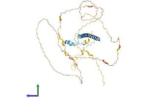 Protein Structure (PS) image for Coiled-Coil Domain Containing 86 (CCDC86) (AA 1-426) protein (His tag) (ABIN7561574)