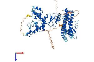 AlphaFold protein structure predicition of Mouse Recombinant Arih1 Protein, UniprotID Q9Z1K5 (ARIH1 Protein (AA 1-555) (His tag))
