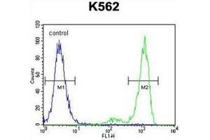 Flow cytometric analysis of K562 cells using ESSPL Antibody  (right histogram) compared to a negative control cell (left histogram).