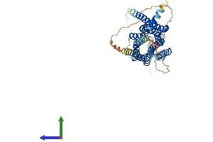 Protein Structure (PS) image for Serotonin Receptor 1A (HTR1A) (AA 1-422) protein (His tag) (ABIN7551742)