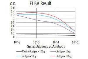Fig. (ASH2L antibody  (AA 493-628))