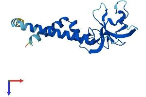 SEC11A Protein (AA 1-179) (His tag)