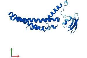 AlphaFold protein structure predicition of Mouse Recombinant Gins1 Protein, UniprotID Q9CZ15
