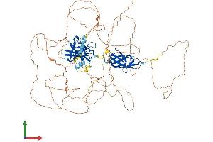 Protein Structure (PS) image for Nuclear Factor of Activated T-Cells, Cytoplasmic, Calcineurin-Dependent 2 (NFAT1) (AA 1-925) protein (His tag) (ABIN7554731)
