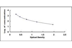 Typical standard curve (Angiotensin II ELISA Kit)