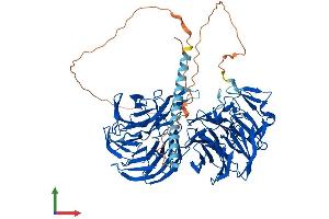 AlphaFold protein structure predicition of Mouse Recombinant Eml1 Protein, UniprotID Q05BC3