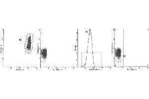 Image no. 1 for anti-Complement Decay-Accelerating Factor (CD55) antibody (PE) (ABIN1106466) (CD55 antibody  (PE))