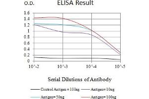 Black line: Control Antigen (100 ng),Purple line: Antigen (10 ng), Blue line: Antigen (50 ng), Red line:Antigen (100 ng) (MSH6 antibody  (AA 217-395))