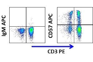 Flow Cytometry (FACS) image for anti-beta-1,3-Glucuronyltransferase 1 (Glucuronosyltransferase P) (B3GAT1) antibody (APC) (ABIN3071850) (CD57 antibody  (APC))