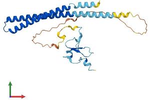 Protein Structure (PS) image for Inhibitor of Growth Family, Member 4 (ING4) (AA 1-249) protein (His tag) (ABIN7554168)