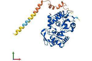 Protein Structure (PS) image for ST8 alpha-N-Acetyl-Neuraminide alpha-2,8-Sialyltransferase 4 (ST8SIA4) (AA 1-359) protein (His tag) (ABIN7557852)