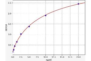 Osteomodulin ELISA Kit